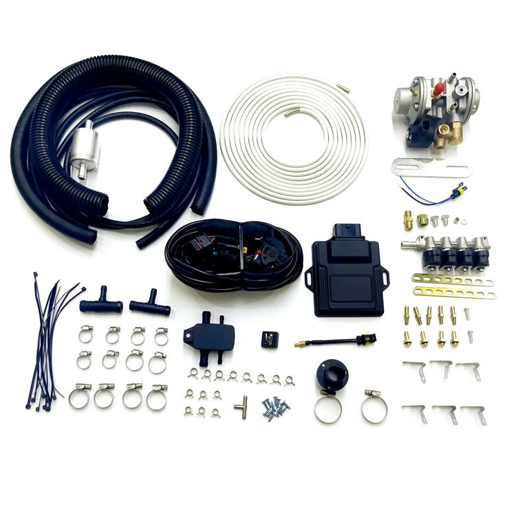 ODM OEM LP Gas Conversion Kit Sequential 4 Cylinder Fuel Injection Conversion Kit