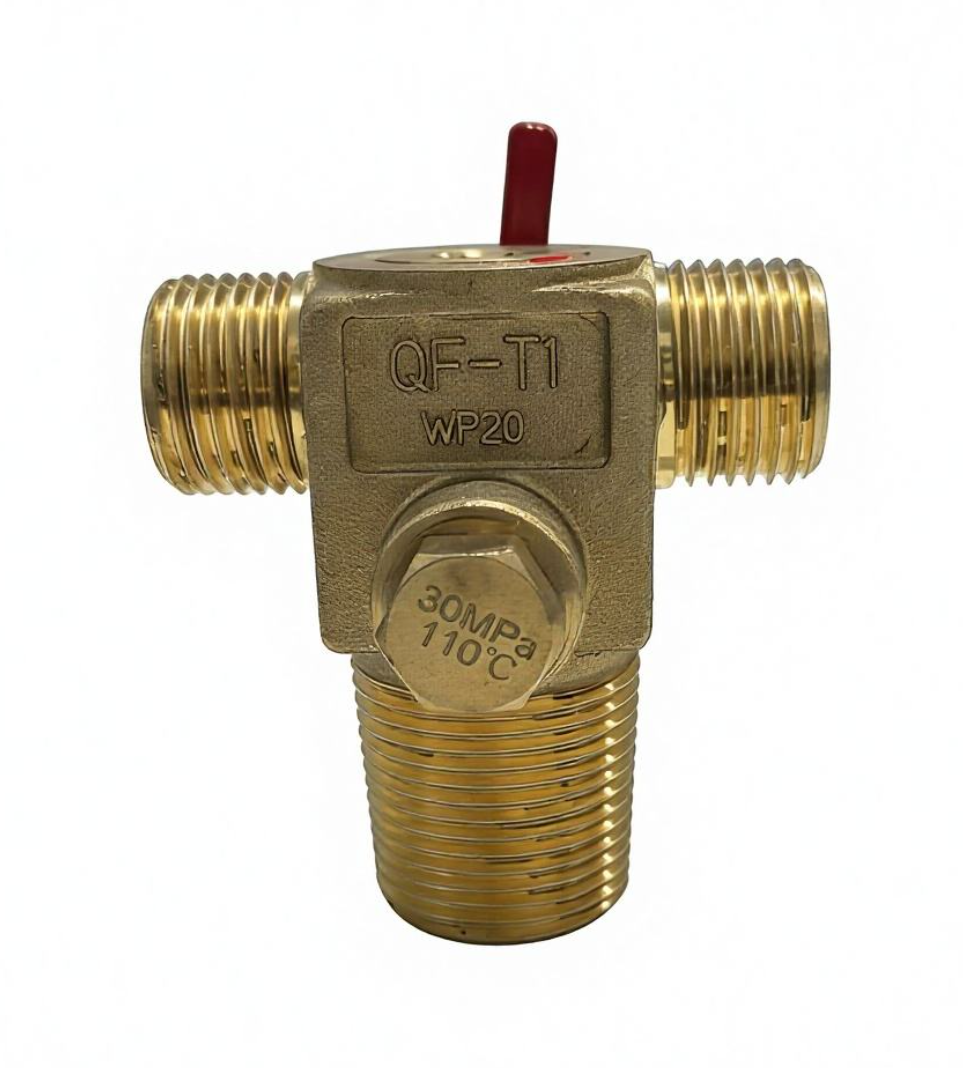 QFT1 LPG CNG cylinder valve side close-up view