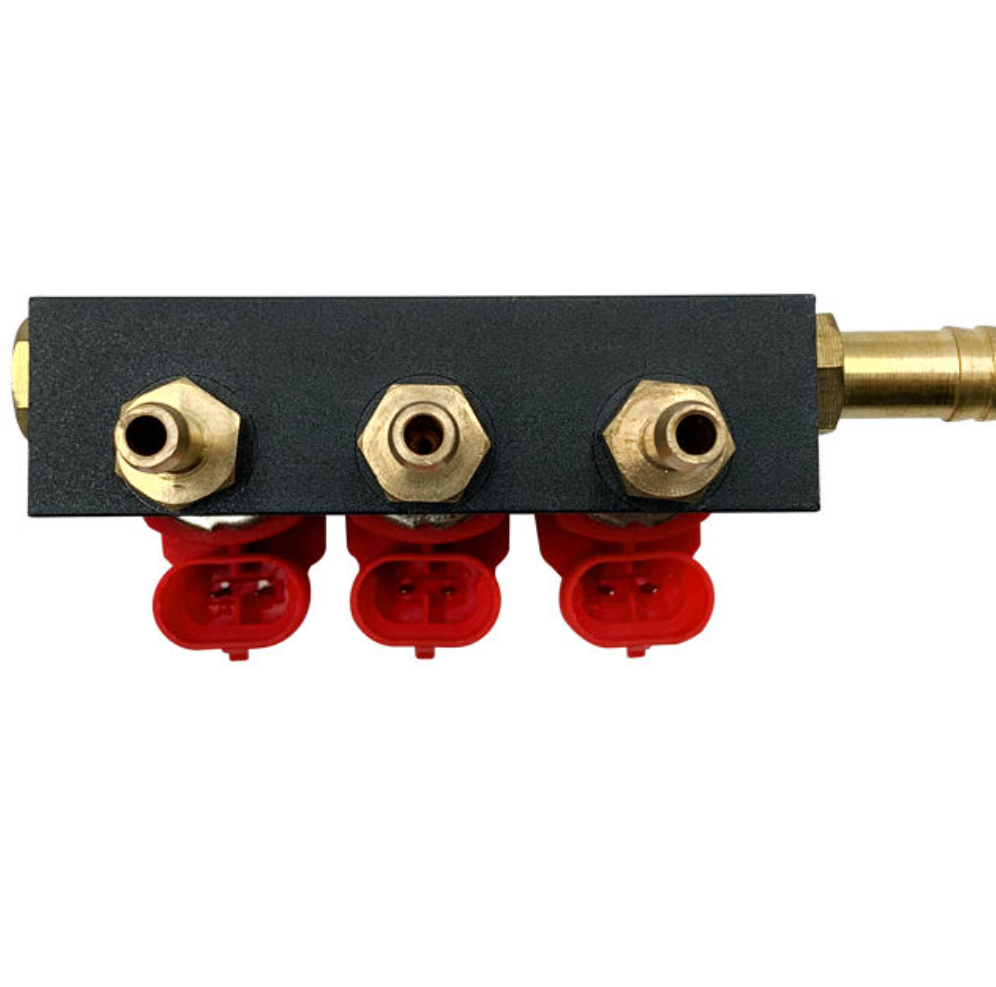 Injector Rail Matched With Full CNG Conversion Kit